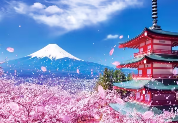 Lorem ipsum dolor sit amet, consectetur adipiscing elit