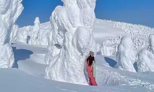 Top 30 địa điểm du lịch Nhật Bản đẹp hút hồn, đi là nhớ mãi Top 30 địa điểm du lịch Nhật Bản đẹp hút hồn, đi là nhớ mãi