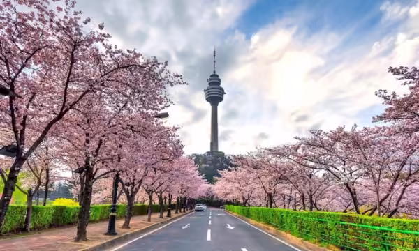 TOP 25 địa điểm du lịch Hàn Quốc đẹp & nổi tiếng TOP 25 địa điểm du lịch Hàn Quốc đẹp & nổi tiếng