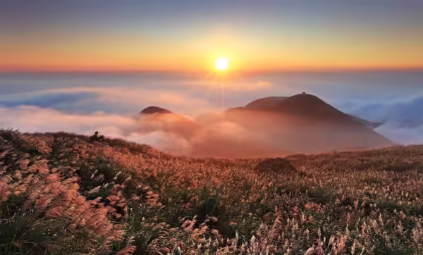 Lorem ipsum dolor sit amet, consectetur adipiscing elit