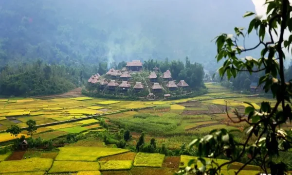 Hạ Long – Mộc Châu – Mai Châu 3N2Đ