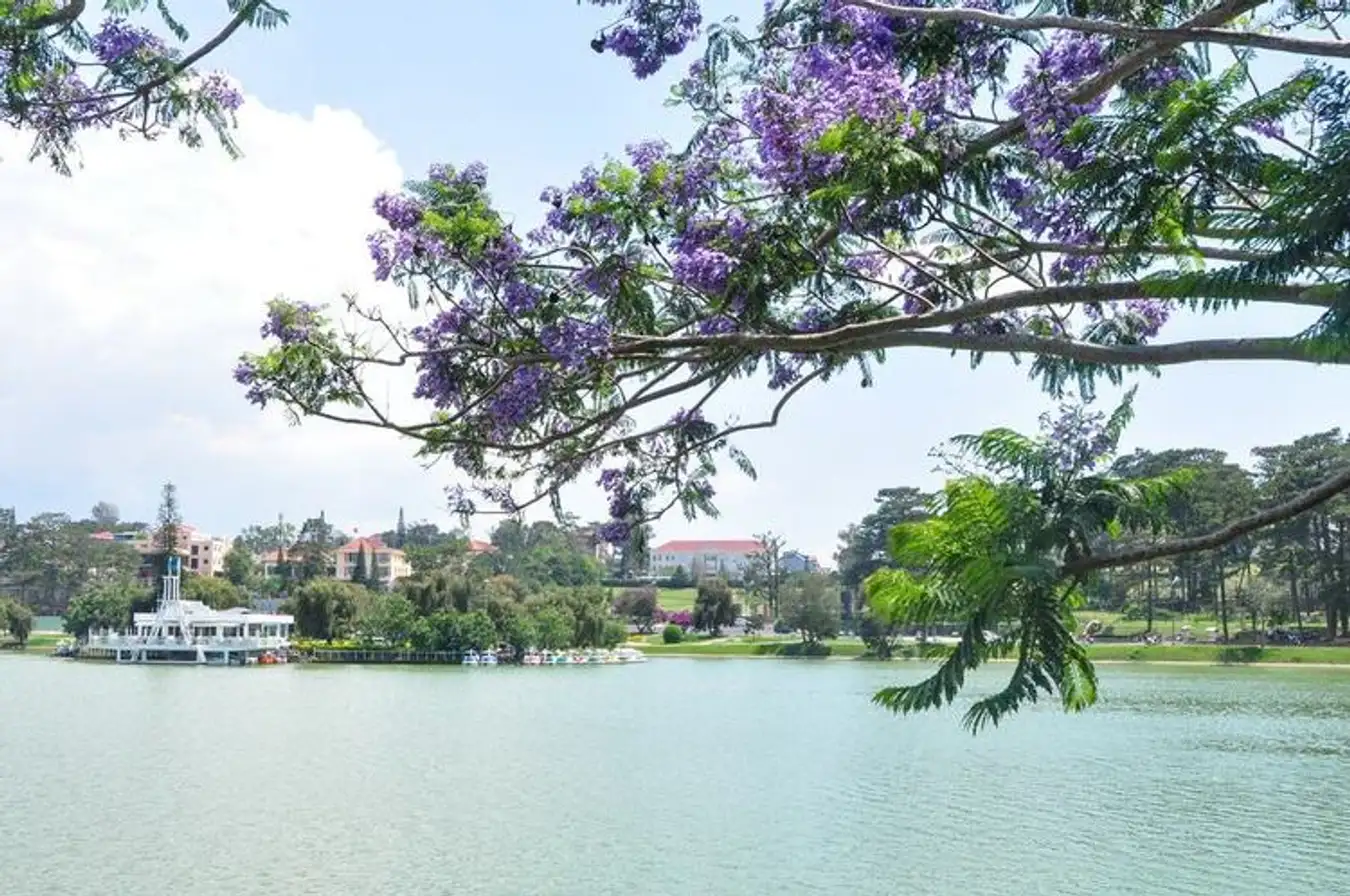 15 địa điểm du lịch Đà Lạt nhất định phải đến tham quan