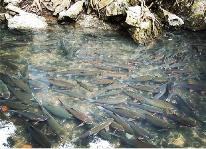 Hạ Long – Sầm Sơn 2N1Đ Hạ Long – Sầm Sơn 2N1Đ