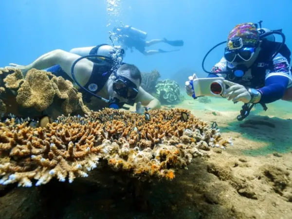 Top 10 địa điểm tham quan Đà Nẵng vô cùng hấp dẫn Top 10 địa điểm tham quan Đà Nẵng vô cùng hấp dẫn