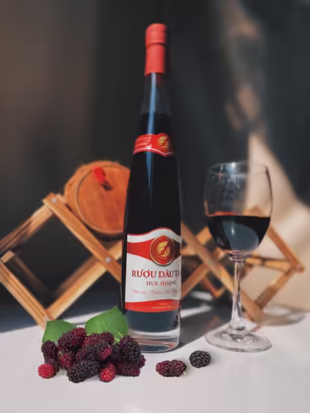 RƯỢU DÂU TẰM HUY HOÀNG RƯỢU DÂU TẰM HUY HOÀNG